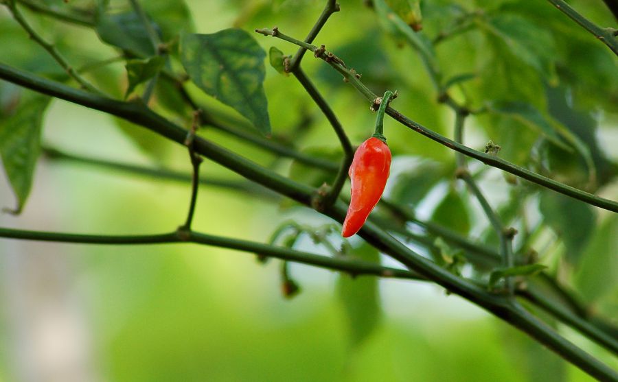 51jobǰǱվ